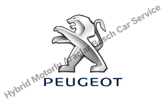 Eskişehir Peugeot Servisi